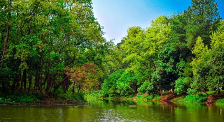 Bhawal-National-Park-Gazipur-770x420 (1)