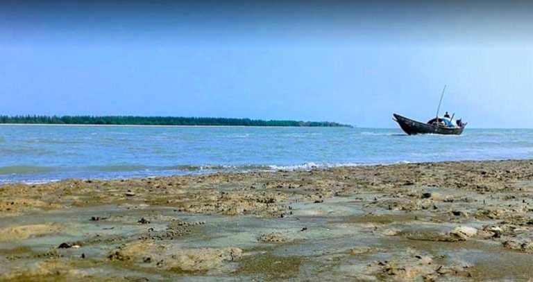 Laldiya-Forest-And-Sea-Beach-Barguna-770x408