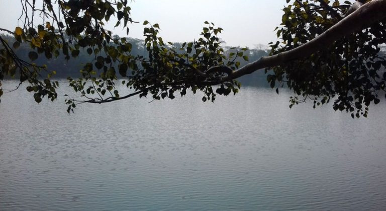 Mohisar-Digumbori-Dighi-Shariatpur-770x420