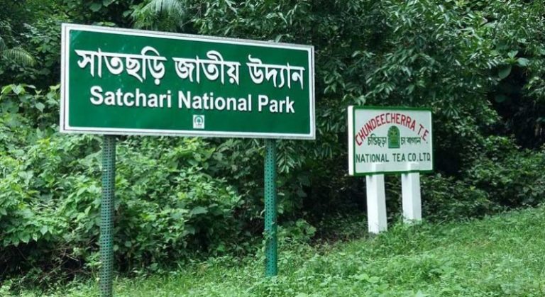 Satchari-National-Park-VromonGuide-770x420