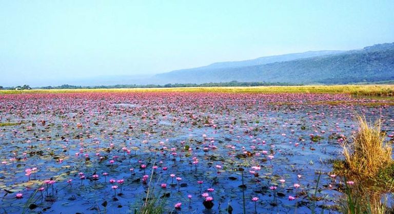 dibir-haor-sylhet