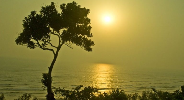 himchari-coxs-bazar-770x420