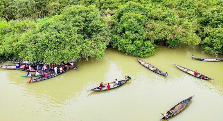 ratargul-swamp-forest-1