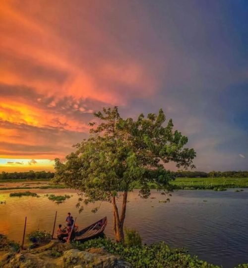 Afternoon some in Bangladesh,Nature photography