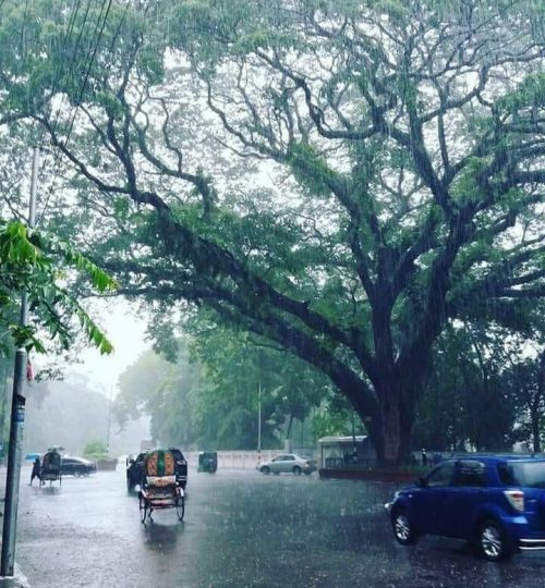 Dhaka University, Dhaka 🇧🇩