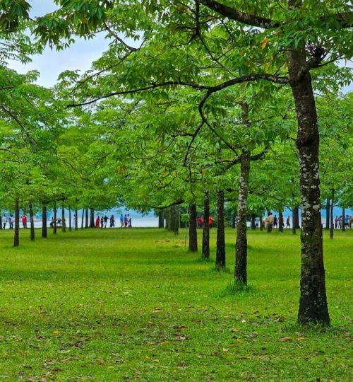 a man and a woman walking through a park