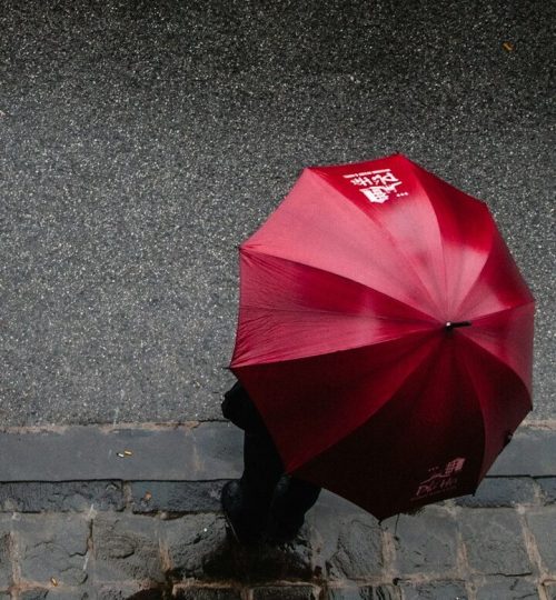 three people using umbrella walking in the street