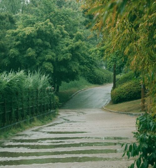 empty pavement