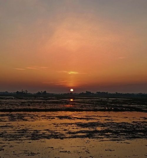 🇧🇩 sunset